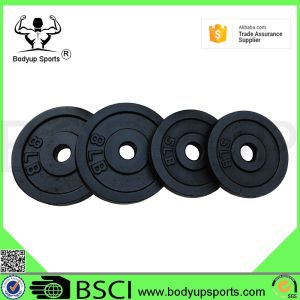 Adjustable Dumbbell Weight Plates , Black Paint Cast Iron Weight Plates