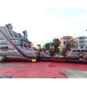 ODM Outdoor Inflatable Water Slides Kids Jumping Bounce House