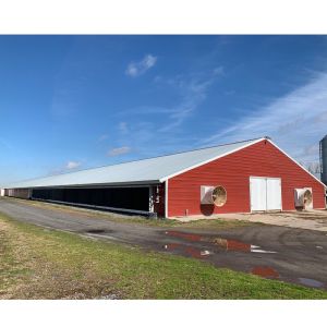 Q235B Q355B Steel Structure Chicken House , Economical Prefab Steel Structure