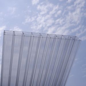 Multi Shape X Structure Polycarbonate Sheet Multiwall Hollow Polycarbonate Sheet