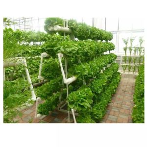 Quality Hydroponic System Indoor Garden Tower With LED / Fluorescent / HID Lighting for sale