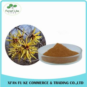 Superior Quality Featured Product 5%-98%Chlorogenic Acid Honeysuckle Flower