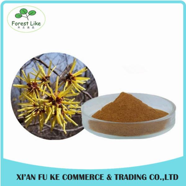 Superior Quality Featured Product 5%-98%Chlorogenic Acid Honeysuckle Flower