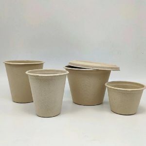 Sustainable Biodegradable 4oz Sugarcane Bagasse Disposable Hot Cups With Lids