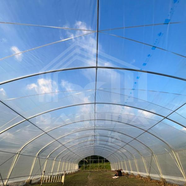 Buy 1.5 Meter Arch Rod Distance Agricultural Greenhouses for Superior Farming Efficiency at wholesale prices