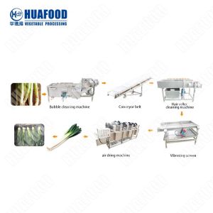 China Vegetables With Ozone Disinfection Machine Fruit And Vegetable Pretreatment Lettuce Washing Machine on sale