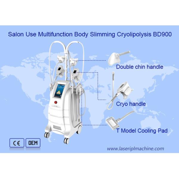 Buy Weight Loss Cryolipolysis Slimming Machine Fat Freezing Liposuction 80kpa at wholesale prices