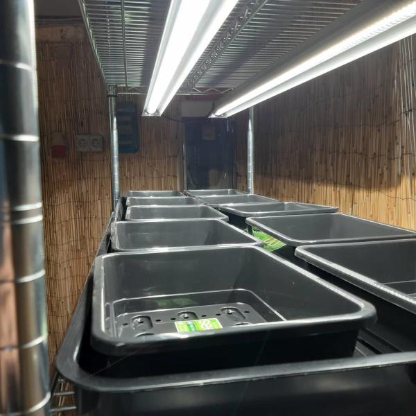 120V/220V Reptile Led Light Bar , T5 Grow Light Fixture Promote Calcium Absorption