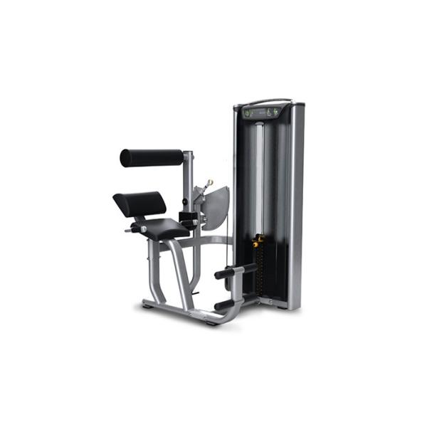 Professional Matrix Exercise Equipment Seated Back Extension Machine