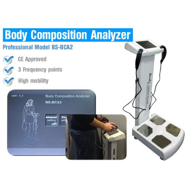 Buy Professional Body Composition Analyzer For Body Fat Test at wholesale prices