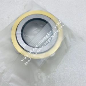 NSK Eccentric Bearing RN309M