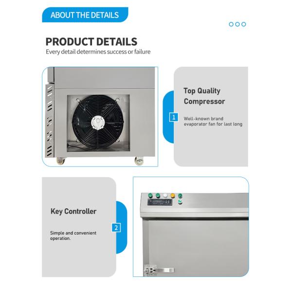 Vegetables Fruit Shrimp Tunnel Quick Freezer Quick Frozen Iqf Tunnel Blast Freezer -80C to 0C Temperature Control 220V