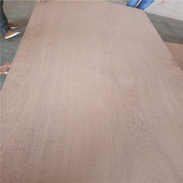 Buy Environmentally WBP Phenolic 12mm Sapele Faced Plywood at wholesale prices