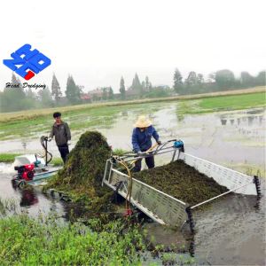 Mini Floating Aquatic Weed Harvester Foam Boat For River Cleaning
