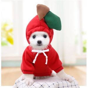 Autumn And Winter Cotton Plush Hooded Sweater For Pet