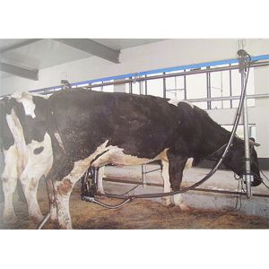Quality 380 Volt 50Hz High Quality Pipeline Milking Parlor System with Milk Receiver Group for sale