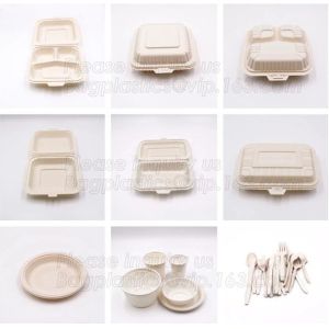 100% Biodegradable and compostable sugarcane pulp packaging disposable paper