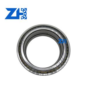 SL04200-PP SL04200PP Cylindrical Roller Bearing for Precision Equipment