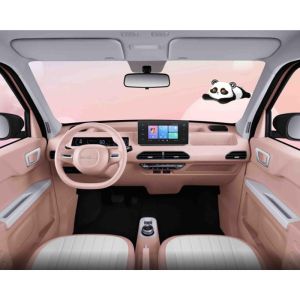 Automotive Used Mini EV Cars Electric Vehicles Geely Panda For Adult