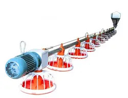 Accuracy 2g Chicken Feeding Line PLC Automatic Broiler Feeding System