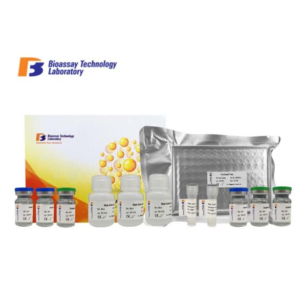 Rat Strong Sensitivity Elisa Sandwich Test Thiobarbituric Acid Reactive