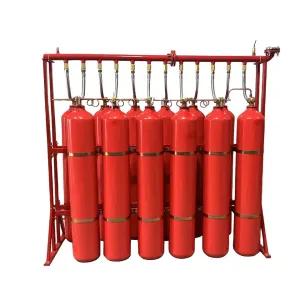 Carbon Dioxide CO2 Extinguishing System 0.6kg/L Customizable