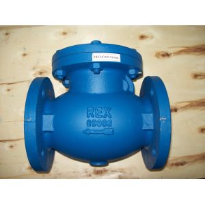 Quality BS check valve flanged ends for sale