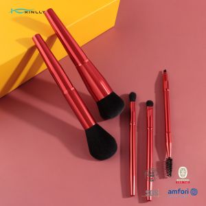 5PCS Metal Handle Cosmetic Brush Set