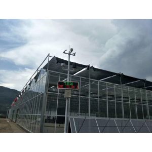 Agricultural / Industrial Garden Greenhouse For Vegetables / Mushrooms / Flowers