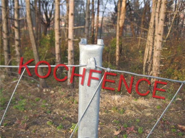Eco Friendly Fixed Knot Deer Fence , Farm Guard Field Fence ISO9001 Certificated
