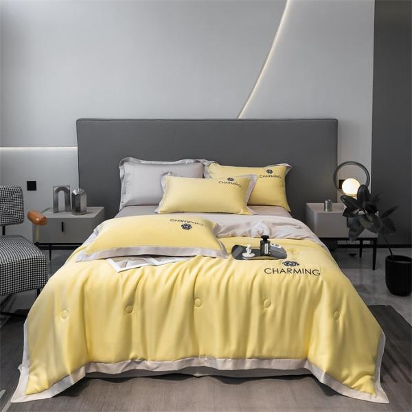 Luxury Washed Silk Embroidered Summer Quilt Set 4 Pcs 3 Pcs No Hair Loss Healthy Sleep