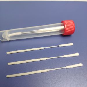 Quality Sterile Nylon Flocked Head VTM Kit For Sample Collection for sale