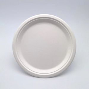 Recyclable Compostable Bagasse Disposable Plate Round Waterproof