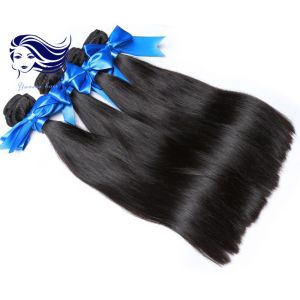 Virgin Malaysian Straight Hair Bundles Tangle Free Human Hair Extensions