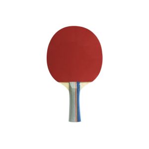 China Colour Handle Table Tennis Rackets Double Reverse Rubber with Sponge for Fun to play on sale China Colour Handle Table Tennis Rackets Double Reverse Rubber with Sponge for Fun to play on sale