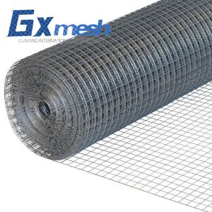 Quality Factory PVC plastic coated welded wire mesh wire Mesh Welded Netting welded wire mesh for sale