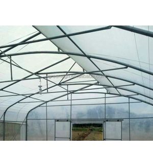 200micron Single Span Greenhouse Agricultural Tropical Climate Greenhouse