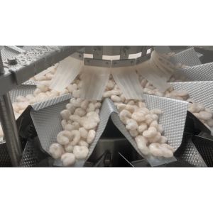 Frozen Food Shatterproof Multihead Weigher Shrimp Weighing And Packaging System