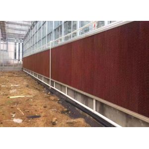 Multi Span Fully Automatic Greenhouse Large Size With Hydroponic System