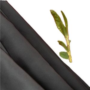 Customizable Density Peach Skin Fabric 112GSM Microfiber Polyester For Beach