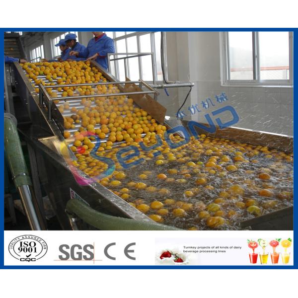 Buy Stepless Shift Fruit And Vegetable Processing Device , Fruit And Vegetable Washer Machine at wholesale prices