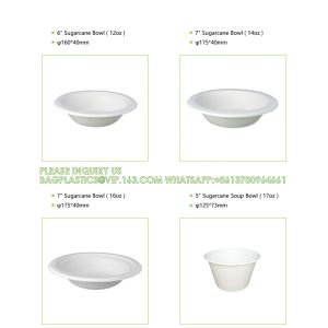 Biodegradable Disposable Compostable Sugarcane Bagasse Food Container Paper Pulp