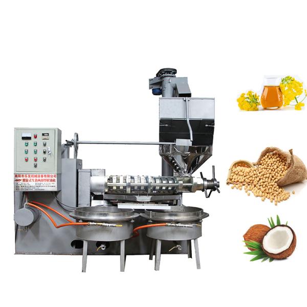 Customized Voltage Camellia Oil Manufacturing Machine With Oil Cake Feeding
