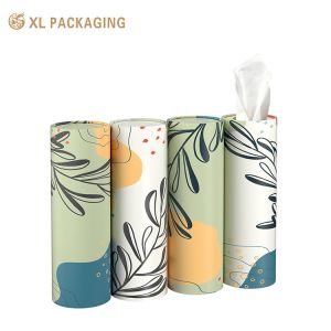 Custom Kraft Paper Tube Car Tissue Packaging Box Cylinder Car Design Facial