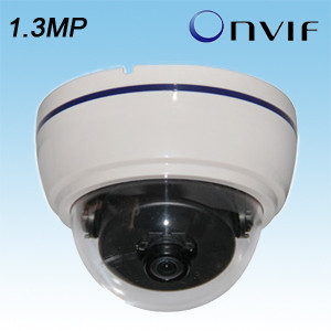 Mini Dome IP Camera with 180 Degree Fisheye Lens