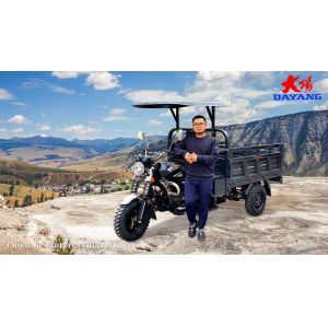DAYANG Prince Grey Motorized Tricycles with 200CC Engine and 1000kg Loading