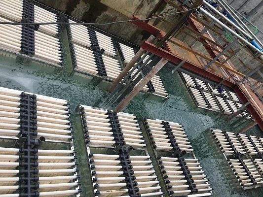 Buy 0.01mm Pore PVDF Hollow Fiber Membrane 29M2 Surface Area For Water Treatment Systems at wholesale prices