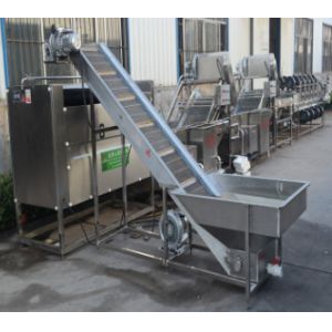 Washed Fruit And Vegetable Processing Line Multi Function Customized Capacity