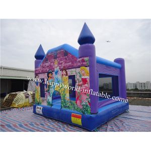 inflatable princess bouncy castle ,inflatable princess bouncy castle , princess