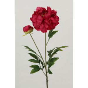 Quality Peony Red Flower for sale
